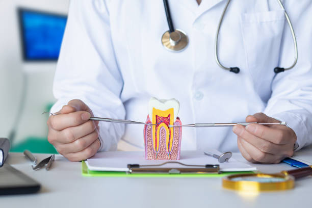 Best Dental Abscess Treatment in Upton, WY